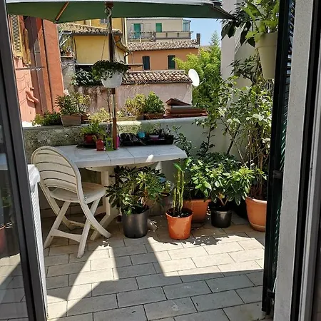 La Rondine Pesaro