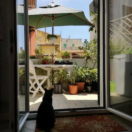 La Rondine Apartment *